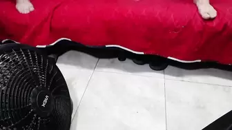Videos Tagged with newmarcegtgngbng