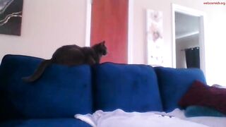 kimi_sins - Private  [Chaturbate] Big Tip Goal Slender Arms sperm hot