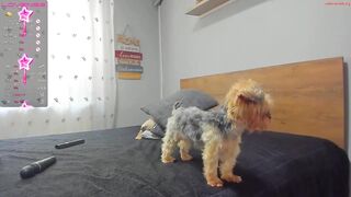 devinesex - Private  [Chaturbate] lesbian-porn bigtits pvtshow watersports