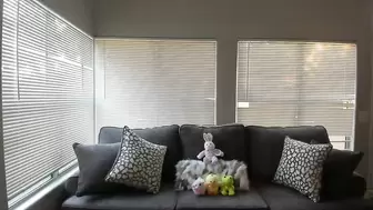 Videos Tagged with pokeapuss