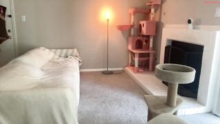 babytama444 - Private  [Chaturbate] singlemom 1-on-1 Dreamy dairy pillows gordinha