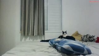 caike_couto - Private  [Chaturbate] Hush Flawless physique amateur-sex Fiery Passion