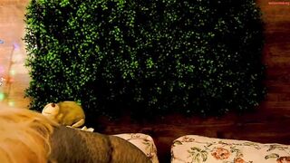 classymelyna - Private  [Chaturbate] Stunning chest nonnude Killer Curves Lovehoney Slimline Realistic Glass