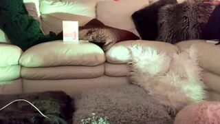 harpentertainment - Private  [Chaturbate] Bold prostituta -oralsex