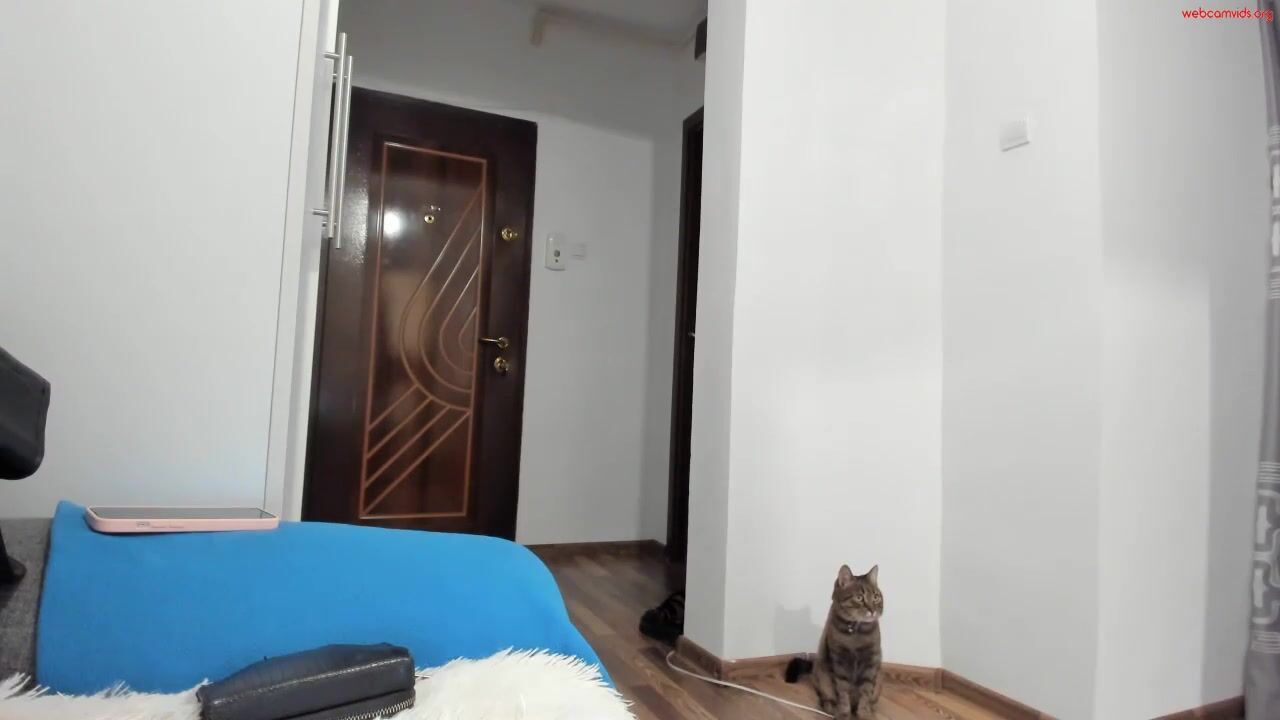 Abbybunnyy - Private [Chaturbate] free-rough-porn LELO Lily webcamsex