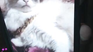 Kare_Free - Private  [Myfreecams] Hot Show cum-on-ass lovers