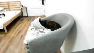 SAINT_M - Private  [Myfreecams] Lovense Diamo wild tattooed