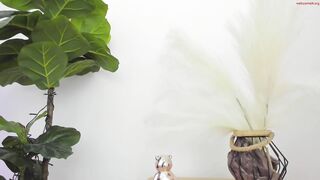 asheley_charris - Private  [Chaturbate] culazo family blowing