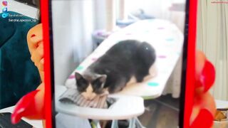 sandralopezxxx - Private  [Chaturbate] Online fantasy cum solo-masturbation