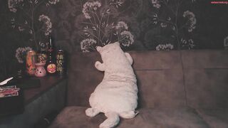 dealerslat - Private  [Chaturbate] dominant smalltits big-tits