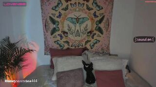 honeymoontea - Private  [Chaturbate] namorada -masturbation Sensual Pulse