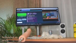 alyssa_pusy - [Chaturbate Record] rousing rear shoes free-porn-amateur rough-sex-videos