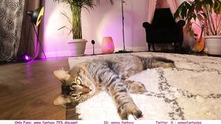 the_pussy_boulevard - [Video] onlyfans long hair cameltroe petite