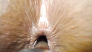 christinamingle - [Video] leggings party anal porn strip