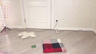 meowfairy - [Video] vagina chat feet handjob