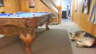 rosegold18 - [Video] ticket show fitness bondage legs