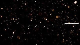 _djad_ - [Video] cei vagina beatiful massage