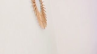 asheley_charris - [Video] blowjob submissive first time big clit