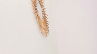 asheley_charris - [Video] blowjob submissive first time big clit