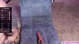 scarlettpython1 - [Video] sexy cock sucking nest hot chick