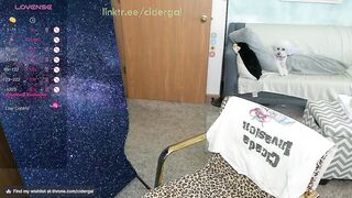 cidergal69 - [New Chaturbate] shy dance adult lush