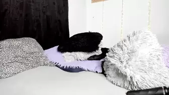 Videos Tagged with emily_vader
