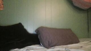 slapme_silly - [Latest Hot Video] piercing hairypussy goal followme