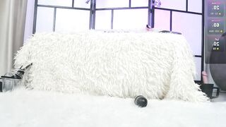 xenomy - Chat Porn Stream cumface nora bondage piercednipples