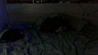 SmithDARIA - Strip Porn Stream cowgirl orgasm orgasm sex-toys