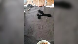 SexyDreamercouple89 - Strip Porn Stream humiliation german-blondes 69-position interactive-toys-milfs