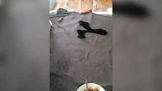 SexyDreamercouple89 - Strip Porn Stream humiliation german-blondes 69-position interactive-toys-milfs