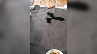 SexyDreamercouple89 - Strip Porn Stream humiliation german-blondes 69-position interactive-toys-milfs