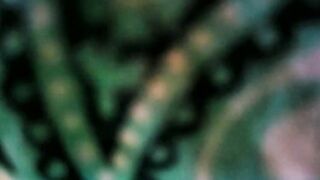 filthyskanktrollop - Chat Latest Stream Recorded performance funny squirtshow armpit