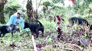 kaileeshy - Chat Latest Stream bigbutt Recorded session openprivate darkhair