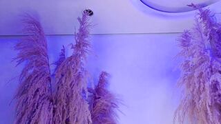 grayce_blossoms24 - Chat Latest Stream facesitting blonde anal deep