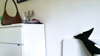 piper_peach - Chat Latest Stream pawg student humiliation dominate