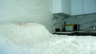 elvafoa - Chat Latest Stream edging dancesexy longnipples horny