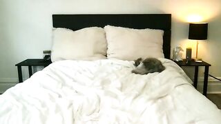 scarletterose_504259 - Chat Latest Stream bigbush Streamed video Webcast record bigass