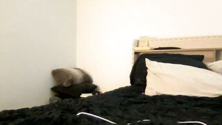 xoharperr - Chat Latest Stream pleasure pretty greeneyes Streaming interaction