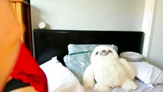 naughtynerdygirl - Chat Latest Stream Streamed session shorthair beauty heels