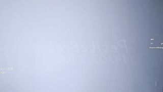 petitebrat - Chat Latest Stream nora multigoal gamergirl smile