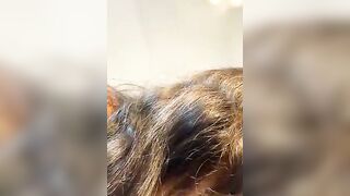 AndyFire69 - Stripc Online Stream big-ass-latin big-tits-anal dildo-or-vibrator outdoor