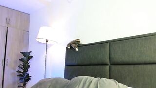 lady_ni - Chatr Online Stream deepthroat lesbians facial niceass