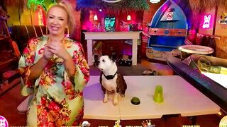 bigbananamilfshake - Chatr Online Stream dominate interactivetoy sexyblonde lush