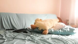 issabelle_69 - Chatr Online Stream tiny privates hush showershow