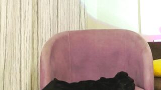 llittle_mi - Chatr Online Stream Visual broadcast slap cam2cam ink