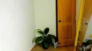 deisy_madrid - Chatr Online Stream Live stream recording teengirl give hard