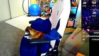 abbifox5 - Chatr Online Stream Stream snapshot facial bigballs teengirl