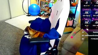 abbifox5 - Chatr Online Stream Stream snapshot facial bigballs teengirl