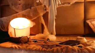 angelinepossy - Live Chaturbate cumming kinky asshole spoil